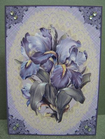 Vintage Iris by Diane Greenwood