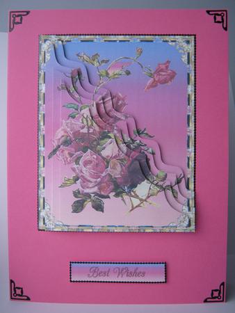 Rainbow of Roses by Diane Greenwood