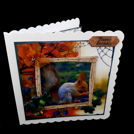 Dear Brother 3 by Diane  Hitchcox