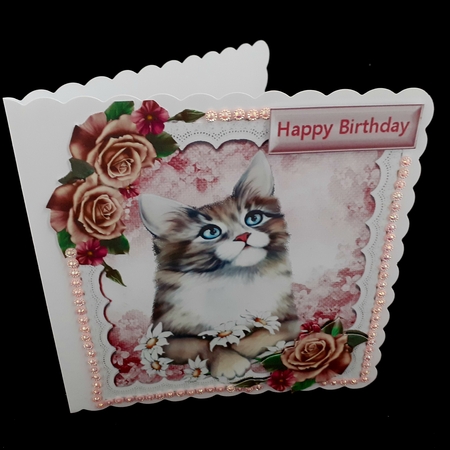 Pretty pink blush roses with kitten and polkadot 8x8 by Diane  Hitchcox