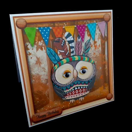 Cute Owl In Indian Fancy Dress 8x8 by Diane  Hitchcox