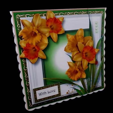 Framed Seasons - Spring Daffodils by Diane  Hitchcox