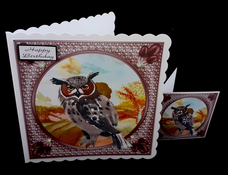 3 Water colour owl card fronts/toppers 4 by Diane  Hitchcox