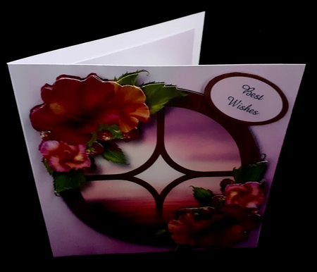 The Circular Window - Hibiscus by Diane  Hitchcox