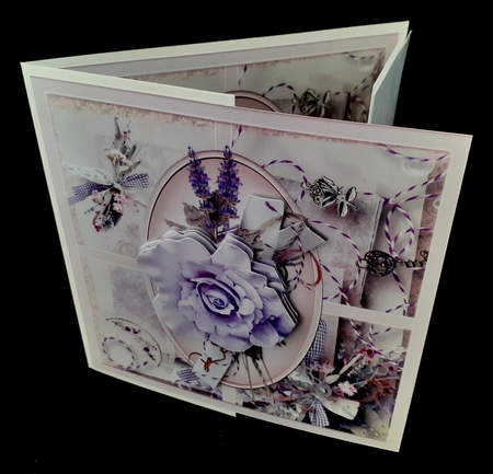Lilac rose by Diane  Hitchcox