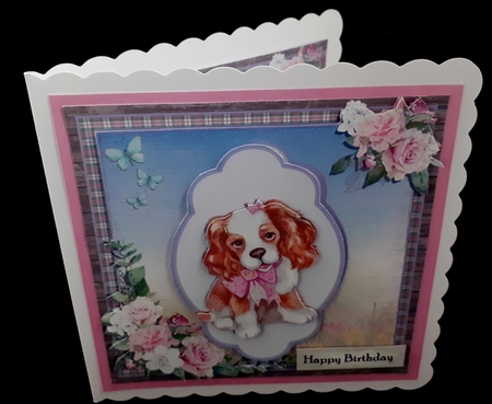 PRETTY POOCH by Diane  Hitchcox
