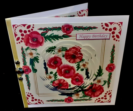 7x7 Poppies by Diane  Hitchcox