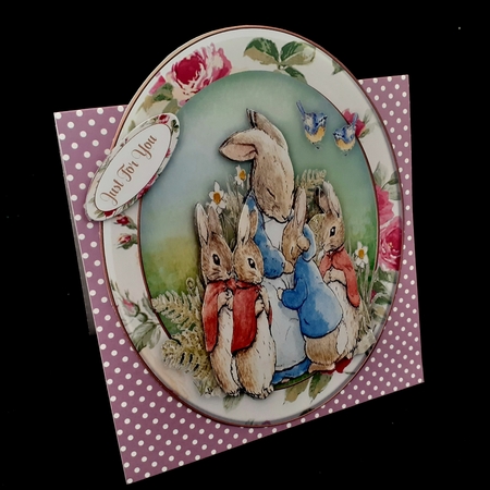 Mrs Rabbits Cuddles by Diane  Hitchcox