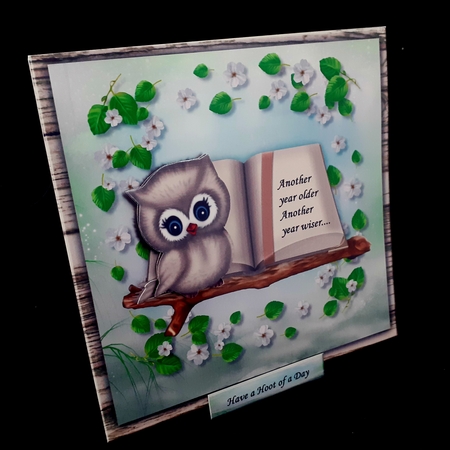 Cute Owl  Another Year Older   Quick card by Diane  Hitchcox