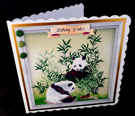 Pandas in the Bamboo by Diane  Hitchcox