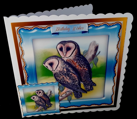 Beautiful Masked Barn Owl by Diane  Hitchcox