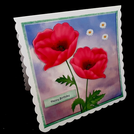 Quick Card Spring Flowers 3 by Diane  Hitchcox