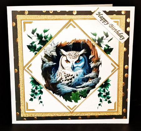 Owl by Diane  Hitchcox
