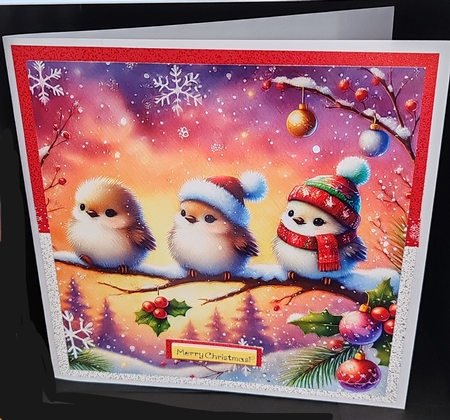 Christmas Birds by Diane  Hitchcox
