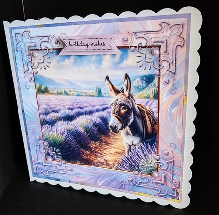 3 Lavender donkey card front/toppers 2 by Diane  Hitchcox