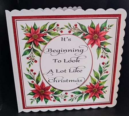 Looking Like Christmas by Diane  Hitchcox