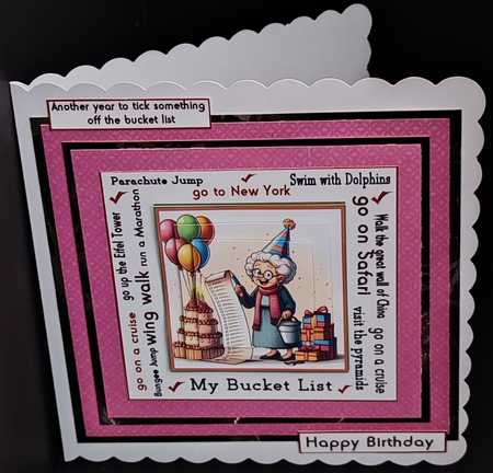 female bucket list by Diane  Hitchcox