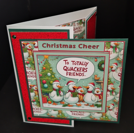 to totally quackers friends by Diane  Hitchcox