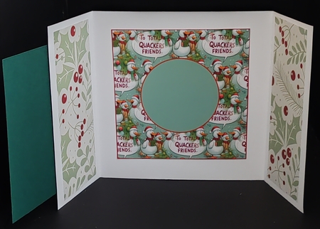 to totally quackers friends insert by Diane  Hitchcox