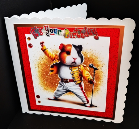 Superstar Hammie by Diane  Hitchcox