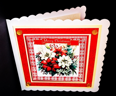Poinsettia Christmas Card Fronts by Diane  Hitchcox