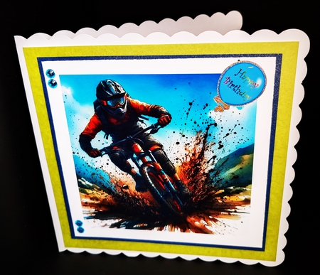 Mountain Biker by Diane  Hitchcox