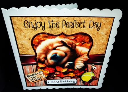 Autumn Leaves Doggie Dreams by Diane  Hitchcox