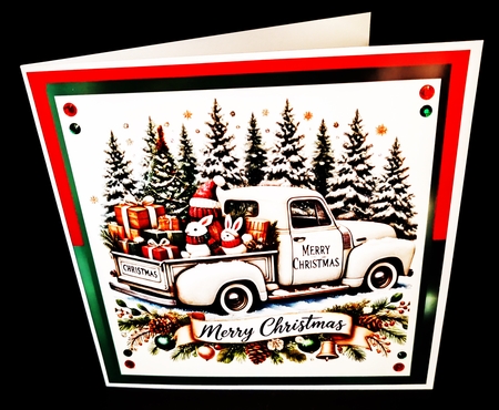 Christmas Preparations by Diane  Hitchcox