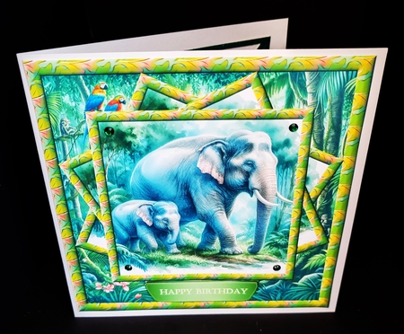 Elephant & Baby Card Front by Diane  Hitchcox