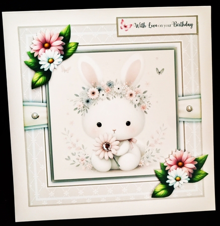 Flopsy the Bunny by Diane  Hitchcox