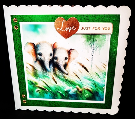 Animals in Grass by Diane  Hitchcox