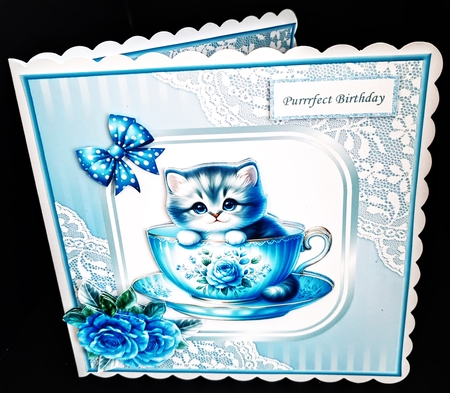Teacup Kitten Mini Kit by Diane  Hitchcox