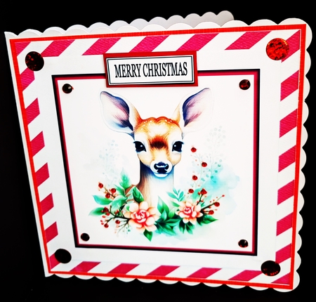 Christmas Animals Mini Kit With Gift Tag (Christmas Or Winter Birthday) by Diane  Hitchcox