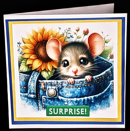 Pocket Mouse by Diane  Hitchcox