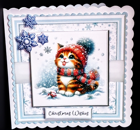Catching Snowflakes - Cats by Diane  Hitchcox