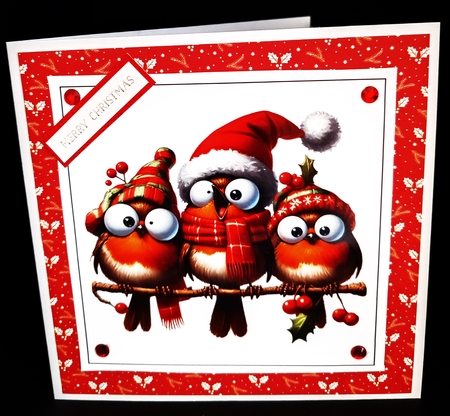 Funny Christmas Robin Card Toppers by Diane  Hitchcox