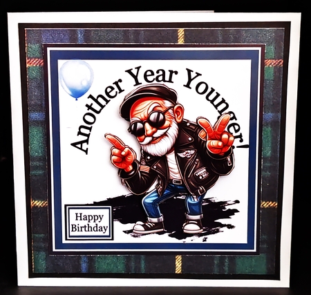 Another Year Younger by Diane  Hitchcox
