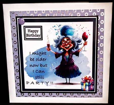I Can Party by Diane  Hitchcox