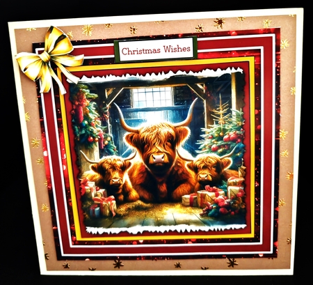 Highland Christmas Cows by Diane  Hitchcox