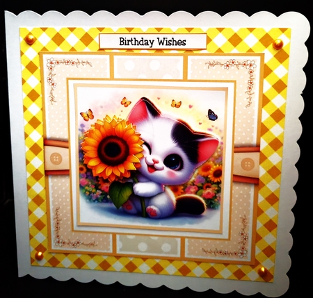 Sunflower Kittens by Diane  Hitchcox