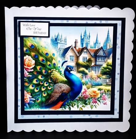 Majestic Peacock by Diane  Hitchcox