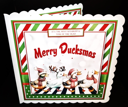 Merry Duckmas  by Diane  Hitchcox