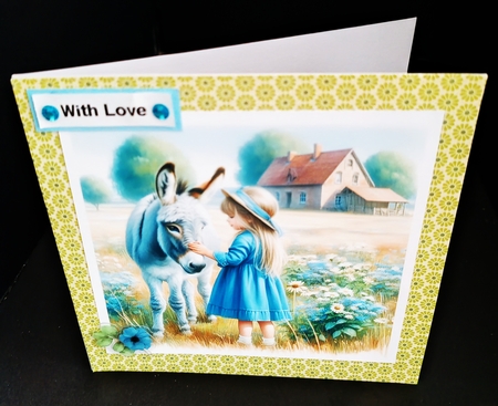 Donkey Love by Diane  Hitchcox
