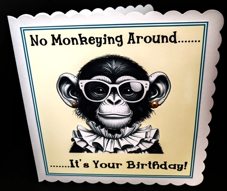 Monkeying Around Birthday by Diane  Hitchcox