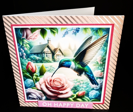 Hummingbird & Roses by Diane  Hitchcox