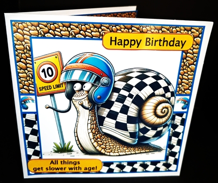 A snails pace by Diane  Hitchcox