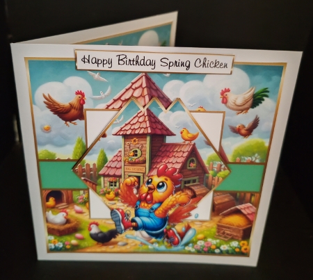 spring chicken by Diane  Hitchcox