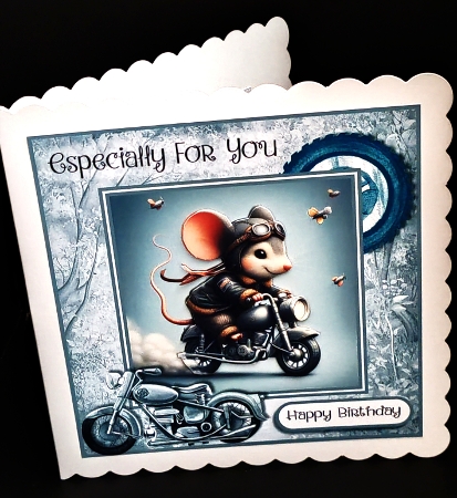Mice On Bikes by Diane  Hitchcox