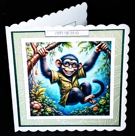 The Monkey by Diane  Hitchcox