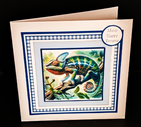 Lizards in the Wild by Diane  Hitchcox
